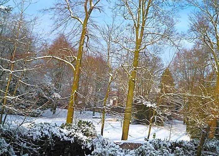 B&B Speelmansrei Brugge